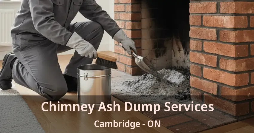 Chimney Ash Dump Services Cambridge - ON